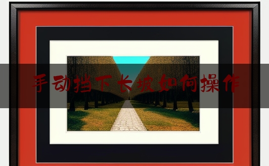 手动挡下长坡如何操作