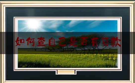 如何查自己是否有贷款