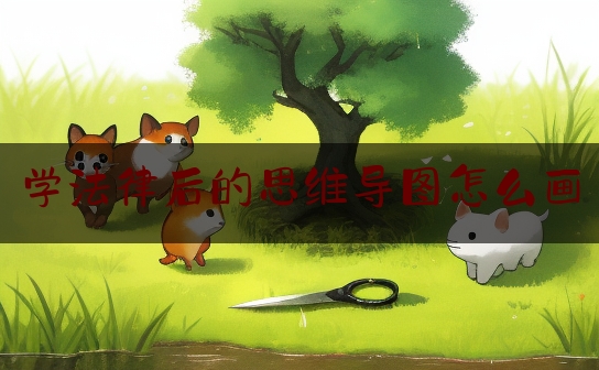 学法律后的思维导图怎么画