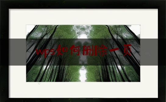https://www.jiangxilaw.com/wdzs/665.html