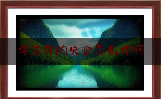 学法律的央企怎么样啊