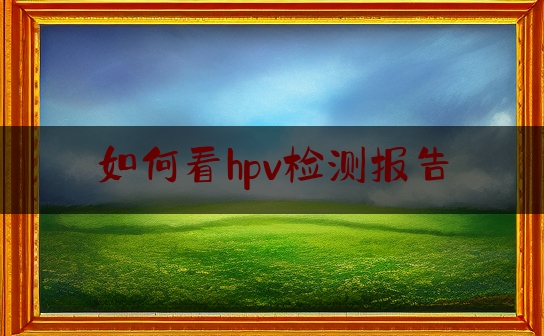 如何看hpv检测报告