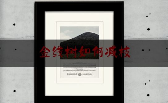 https://www.jiangxilaw.com/shzs/795.html